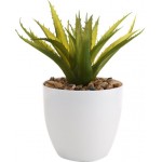 Растение искусственное в горшке Суккулент 10x10x17,5см, Арт. RUT21061726