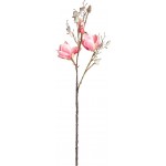 Растение искусственное GIARDINO CLUB Магнолия, Арт. CH04623272