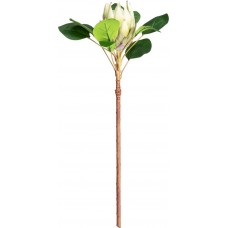 Растение искусственное GIARDINO CLUB Протея, Арт. CH04021006 в магазинах Лента