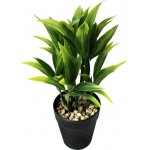 Растение искусственное в пластиковом горшке вид 4, в ассортименте, Арт. LM20PL0022