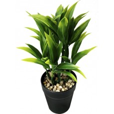 Растение искусственное в пластиковом горшке вид 4, в ассортименте, Арт. LM20PL0022 в магазинах Лента