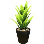 Растение искусственное в пластиковом горшке Диффенбахия, цвета в ассортименте, Арт. LY21AP0130