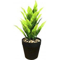 Растение искусственное в пластиковом горшке Диффенбахия, цвета в ассортименте, Арт. LY21AP0130 в магазинах Лента