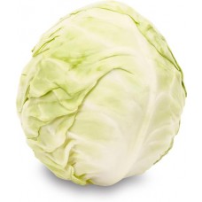 Капуста белокочанная новый урожай, весовая в магазинах Лента