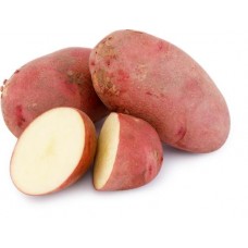 Картофель красный молодой, весовой в магазинах Лента