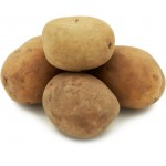 Картофель белый отборный, весовой