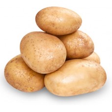 Картофель белый Ярмарка, весовой в магазинах Лента