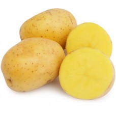 Картофель белый мытый, весовой в магазинах Лента