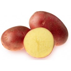 Картофель красный мытый, весовой в магазинах Лента