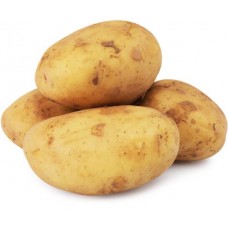 Картофель новый урожай, весовой в магазинах Лента