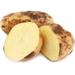 Картофель отборный, весовой