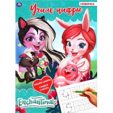 Раскраска УМКА Учим цифры. Enchantimals Арт. 301142 в магазинах Лента