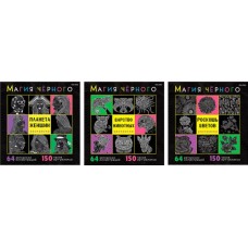 Раскраска ПРОФ-ПРЕСС Магия черного, 32 листа в магазинах Лента