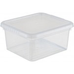 Ящик для хранения с крышкой 365 ДНЕЙ 5л Арт. FB1031