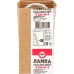Лампа накаливания 365 ДНЕЙ Е27, 40Вт, А50/А55