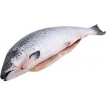 Лосось Атлантический ЛЕНТА FRESH потрошеный из замороженного сырья 1–3кг, весовой