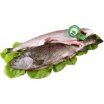Форель Радужная ЛЕНТА FRESH потрошеная с головой 1–2кг, весовая
