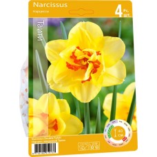 Луковицы Нарцисс махровый Таити 12/14, Арт. 44, 4шт в магазинах Лента