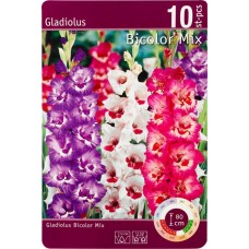 Луковицы Гладиолус Фантазия/Биколор микс 10/12, Арт. 108/RKG.201.GLD.002.STD, 10шт в магазинах Лента
