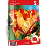 Луковицы Тюльпан попугайный Тексас Флейм 11/12, Арт. 153, 5шт
