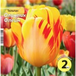 Луковицы НК.ЛТД Тюльпан Олимпик Флейм 10/11, Арт. HK342495