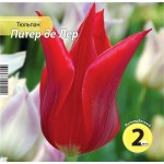 Луковицы НК.ЛТД Тюльпан Питер Де Лер 10/11, Арт. HK342500