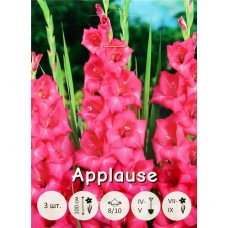 Луковицы ПЕТРОФЛОРА Гладиолус Апплауз 8/10, 3шт в магазинах Лента