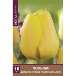Луковицы Тюльпан Дарвинов гибрид Голден Апельдорн, 10шт