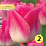 Луковицы РУССКИЙ ОГОРОД Тюльпан Династи 10/11. розовый, Арт. НК342506, 2шт