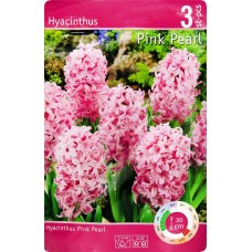Луковицы Гиацинт Пинк Перл 14/15, Арт.H003STD, 3шт в магазинах Лента