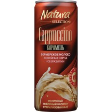 Напиток молочный кофейный NATURA SELECTION Cappuccino Карамель 2,4%, без змж, 220мл в магазинах Лента