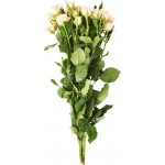 Монобукет Роза кустовая, 3шт