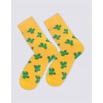 Носки мужские БРЕСТСКИЕ р. 25, 27, 29, в ассортименте, Арт. 21С4200В