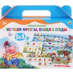 Игрушки РЫЖИЙ КОТ Умный малыш 5 в 1 Арт. ИН-9391-94