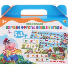 Игрушки РЫЖИЙ КОТ Умный малыш 5 в 1 Арт. ИН-9391-94 в магазинах Лента