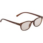 Очки для чтения A-VISION +2,5 в металлической и пластиковой оправе с полимерными линзами кат.1