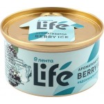 Ароматизатор автомобильный ЛЕНТА Life Berry Ice, на торпеду, Арт. 10036 Ароматизатор автомобильный ЛЕНТА Life Berry Ice, на торпеду, Арт. 10036