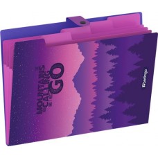 Папка BERLINGO Scenic, А4, 5 отделений, на кнопке, с рисунком, Арт. XF4_05S16 в магазинах Лента