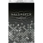 Вода туалетная мужская EUROLUXE Salvateur, 100мл
