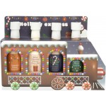 Набор подарочный Holiday express, 380г