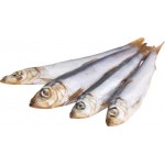 Салака холодного копчения ЭКСТРА ФИШ неразделанная, весовая