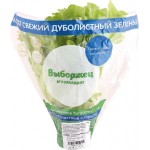 Салат Дуболистный зеленый