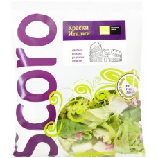 Салатная смесь SCORO Краски Италии, 170г в магазинах Лента