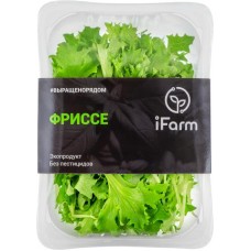 Салат свежий Фриссе, 100г в магазинах Лента