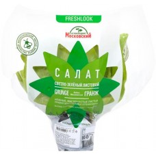 Салат Маслянистый, в горшочке в магазинах Лента