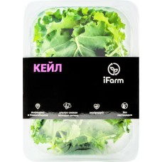 Салат Кейл, 50г в магазинах Лента