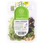 Салатный ростковый микс VITAMINCUS Живые витамины, 100г