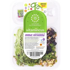 Салатный ростковый микс VITAMINCUS Живые витамины, 100г в магазинах Лента