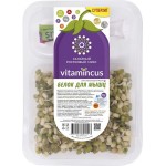 Салатный ростковый микс VITAMINCUS Белок для мышц, 100г