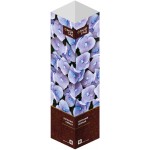 Саженец МОЙ САД Гортензия, голубая Саженец МОЙ САД Гортензия, голубая